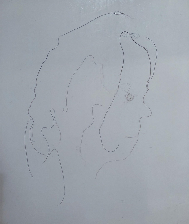 My wife likes to leave her hair on the shower wall Today it looked a little like a face so I moved like  strands around and made some art
