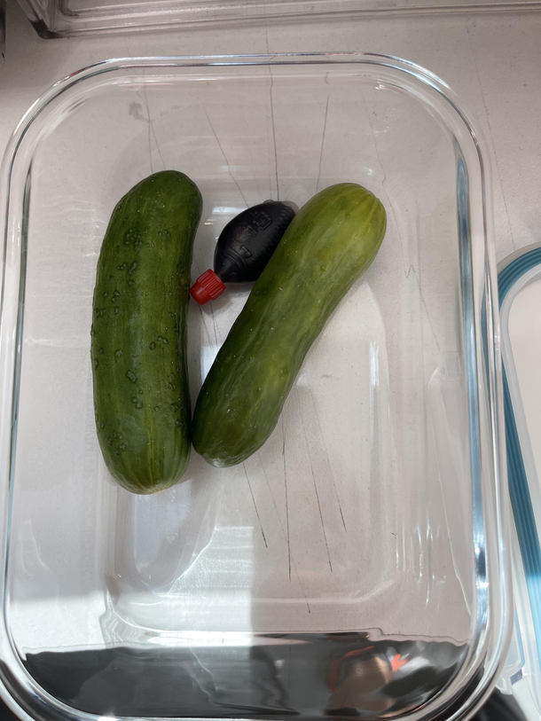 My wife packed my lunch