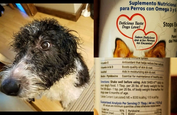 My wife purchased a bottle of doggie shampoo and gave our dog a bath we noticed her fur wouldnt dry and looked greasy - it wasnt shampoo