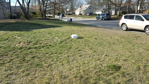 My wife shouted There are boxes ALL OVER our lawn