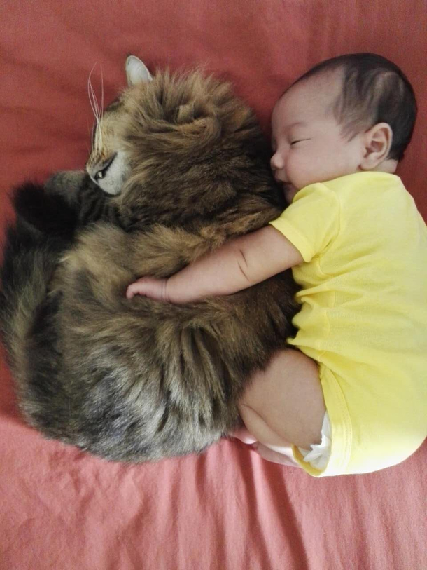 my wife told me that baby is happy with our cat