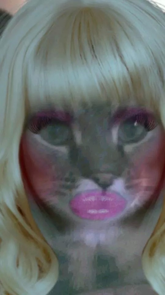 My wife used the bimbo booth app on our cat