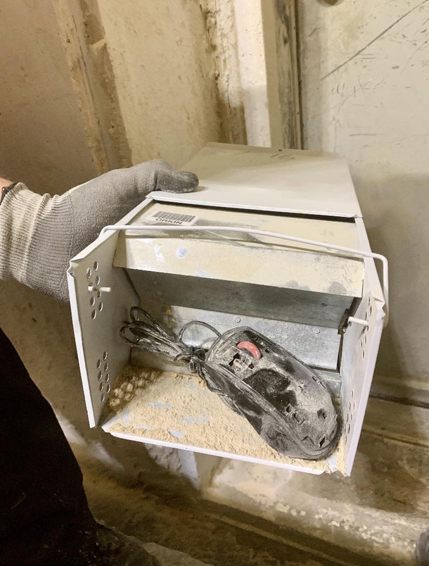 My wife works in pest control She was servicing a mill and came across this says it was the biggest mouse she has ever caught