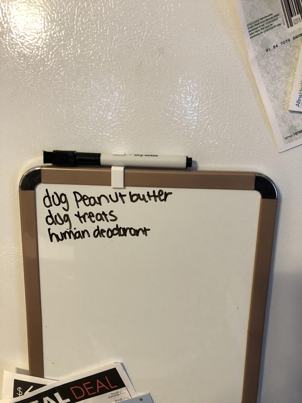 My wifes grocery list She thinks shes funny