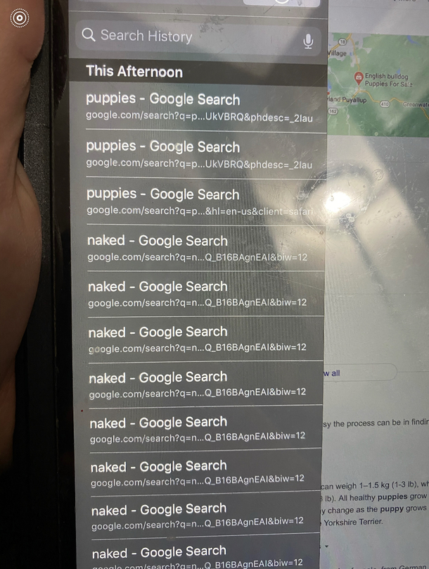 My -year old nephews search history is hilarious