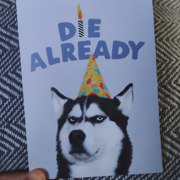 My  year old niece cant read and bought me this birthday card because it featured a cute dog with a party hat