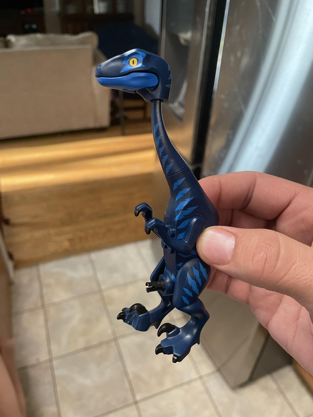 My  yo daughter made this tall velociraptor with boy parts