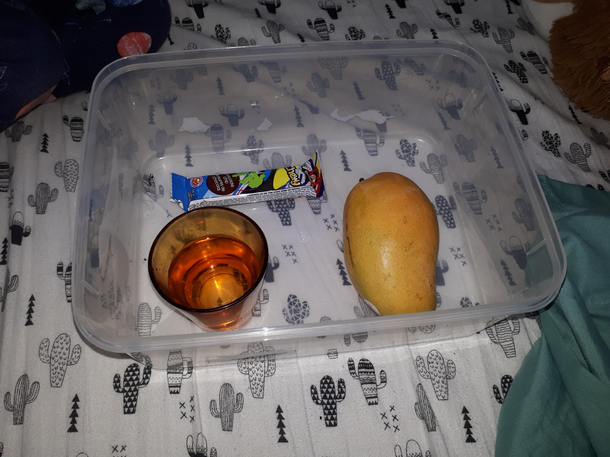 My  yo made me breakfast in bed