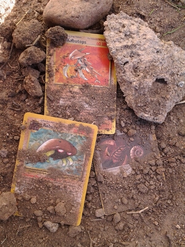 Mysterious Fossils