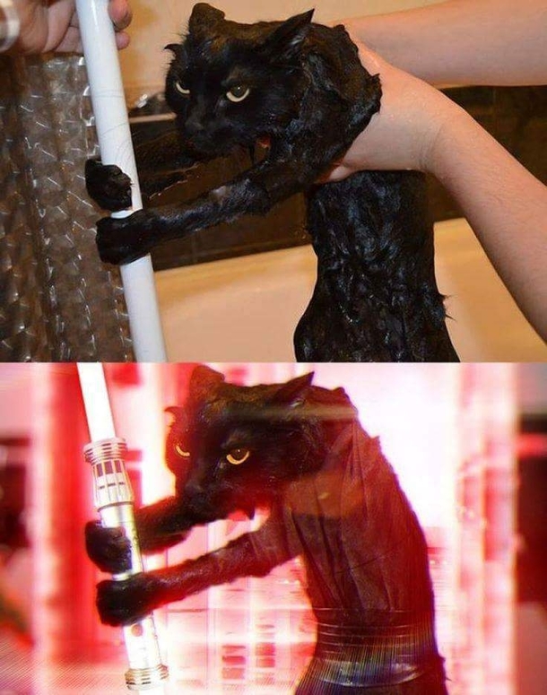 Nailed it