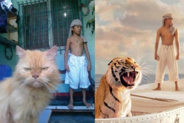 Nailed it