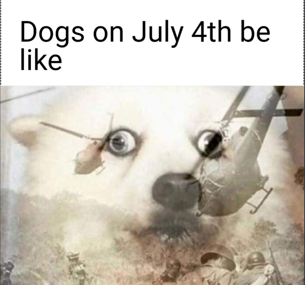 Nam flashbacks