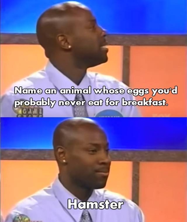 Name an animal whose eggs youd probably never eat for breakfast