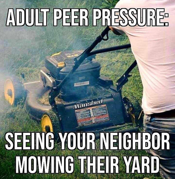 Name something more true