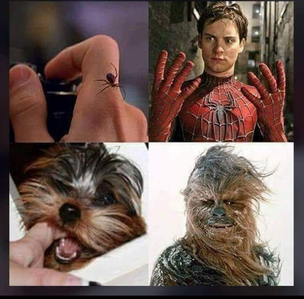 Name this new character