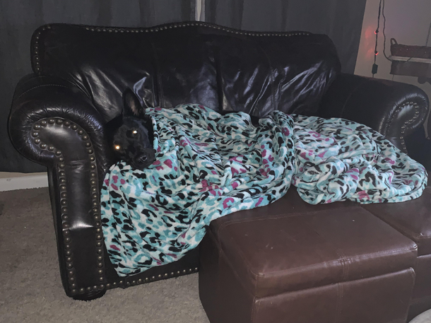 Nap Time