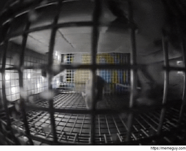 NASA sent mice into space and the results are unintentionally hilarious