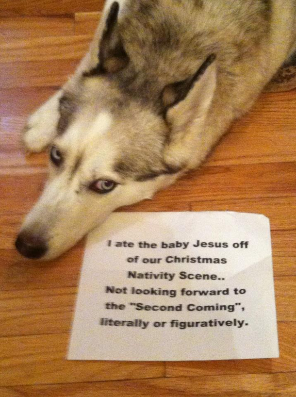Nativity spelled correctly