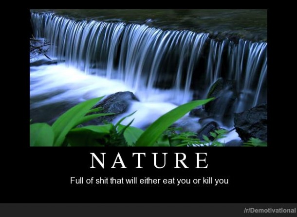 Nature 