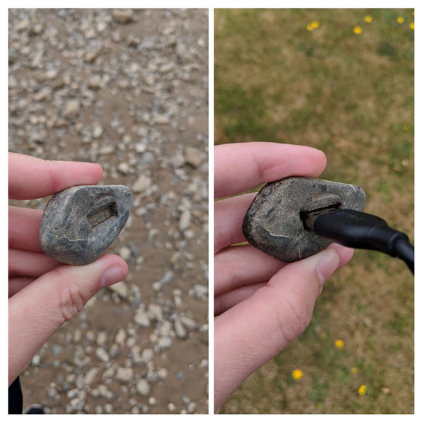 Nature finally got USB ports