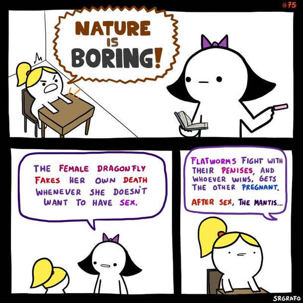 Nature is awesome credit Srgrafo