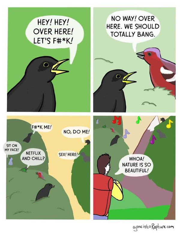 Nature is B E A U T I F U L