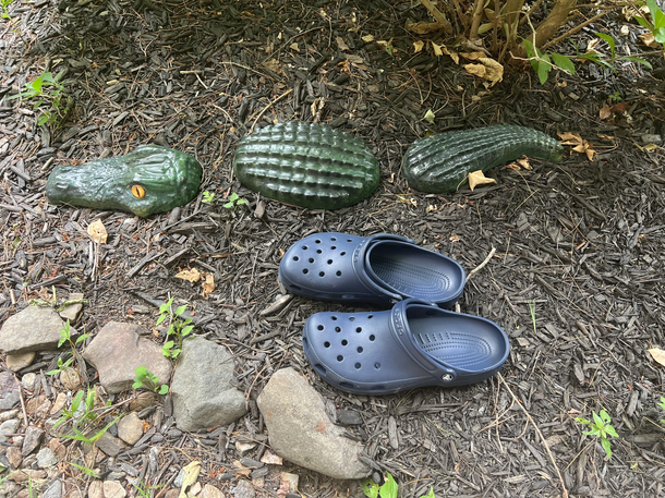Nature is beautiful