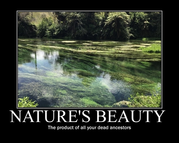 Natures Beauty