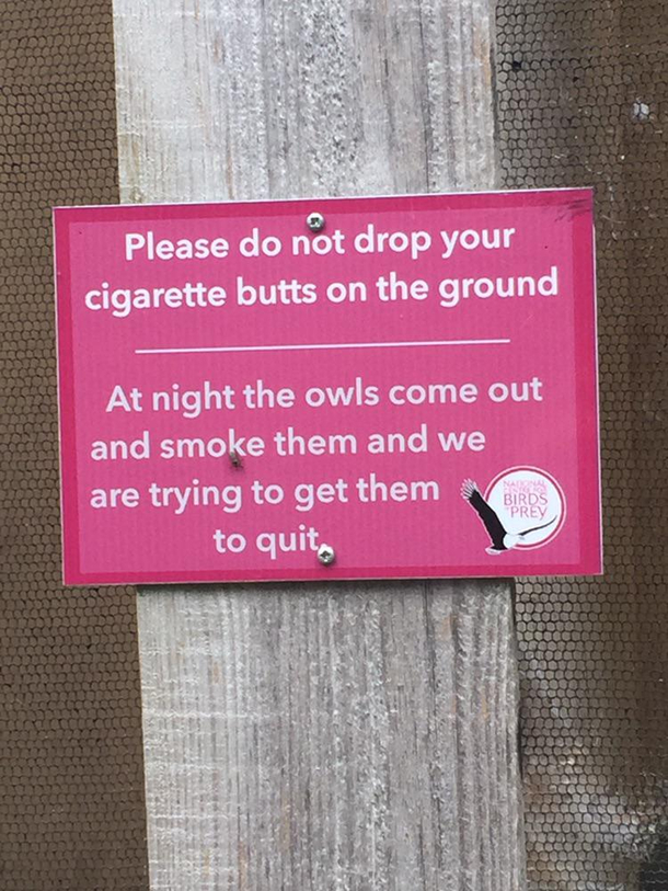 Naughty Owls