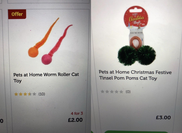 Need an idea on what to get your neutered cat for Christmas