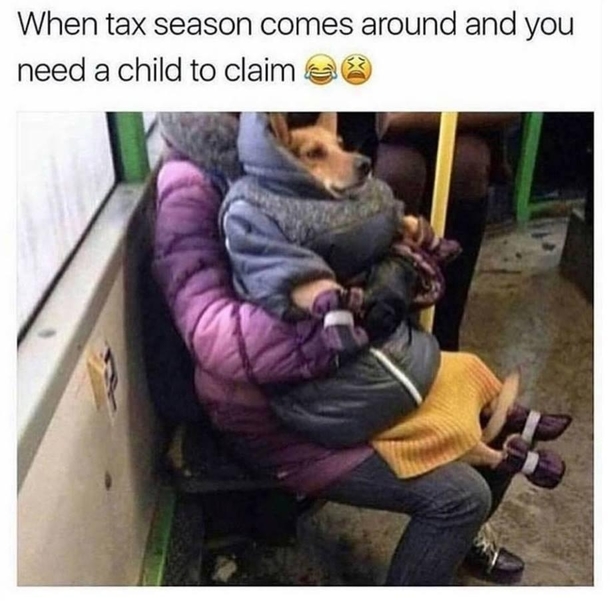 Need them child tax credits
