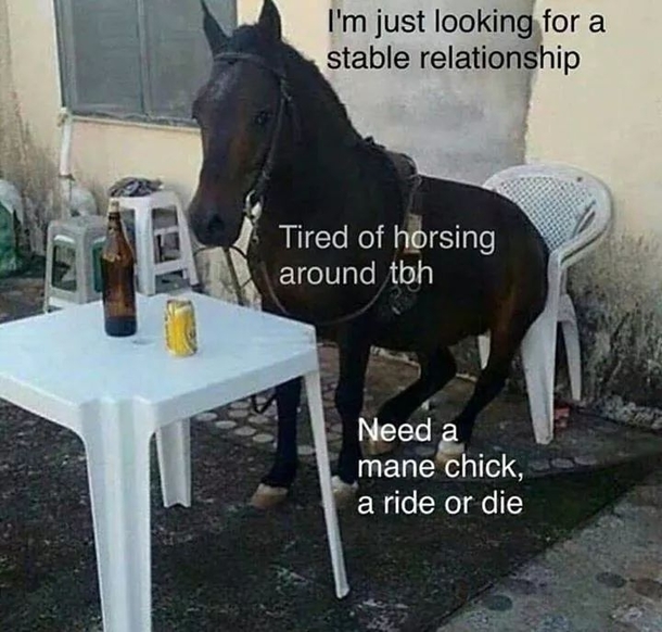 Neigh more fake relationships