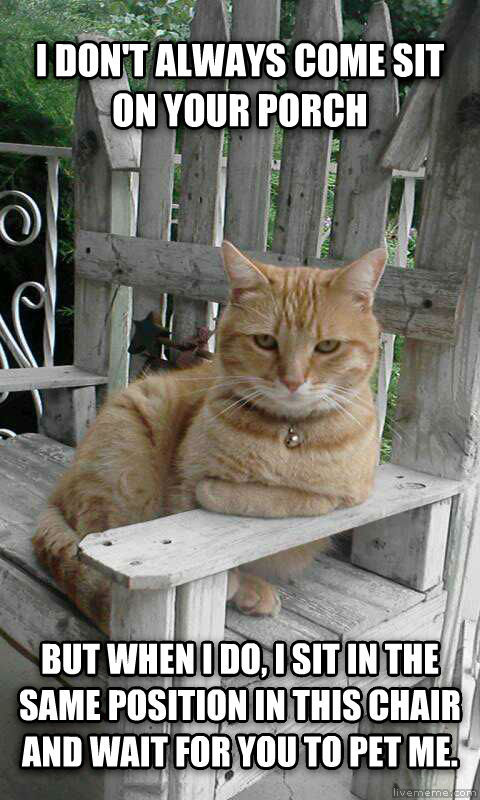 Neighbor cat does this everyday and I can never resist