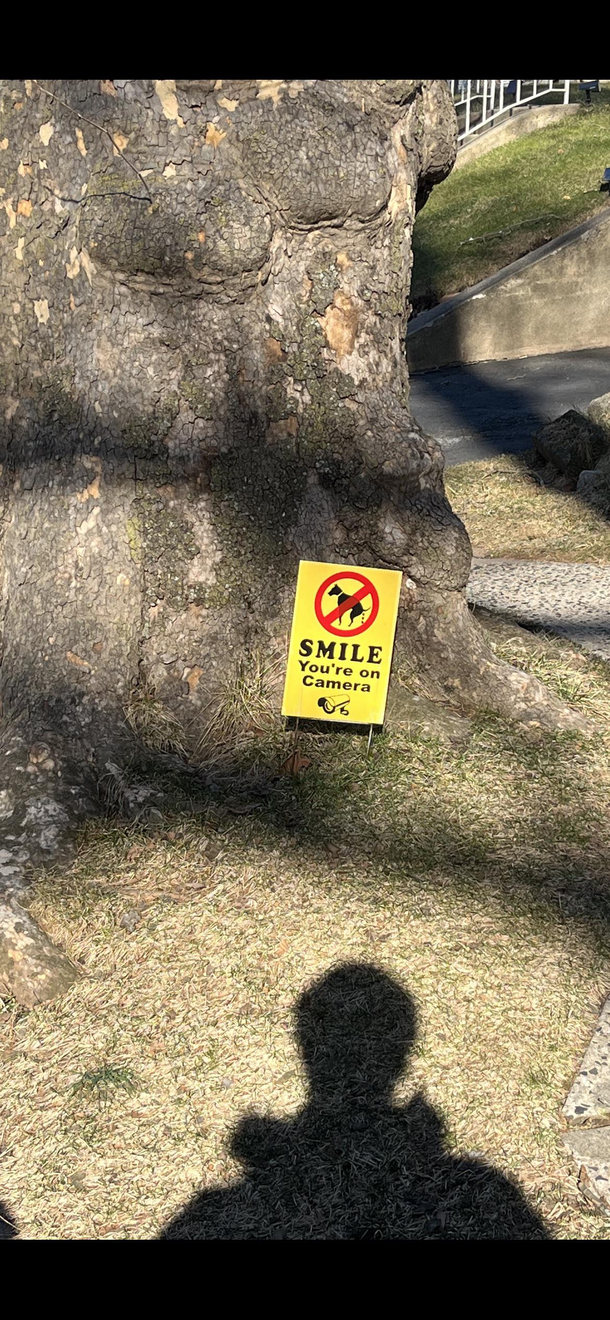 Neighbor got sick of the shit