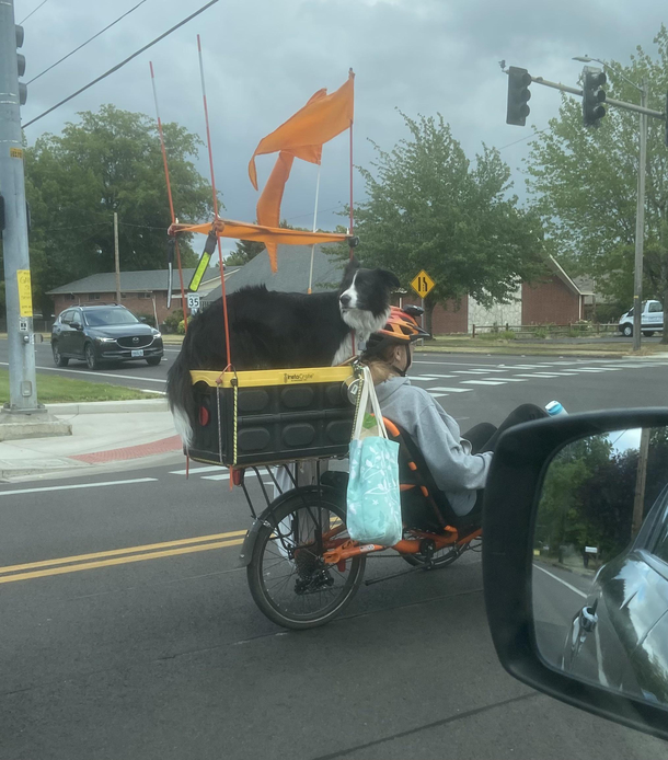 Neighborhood watch