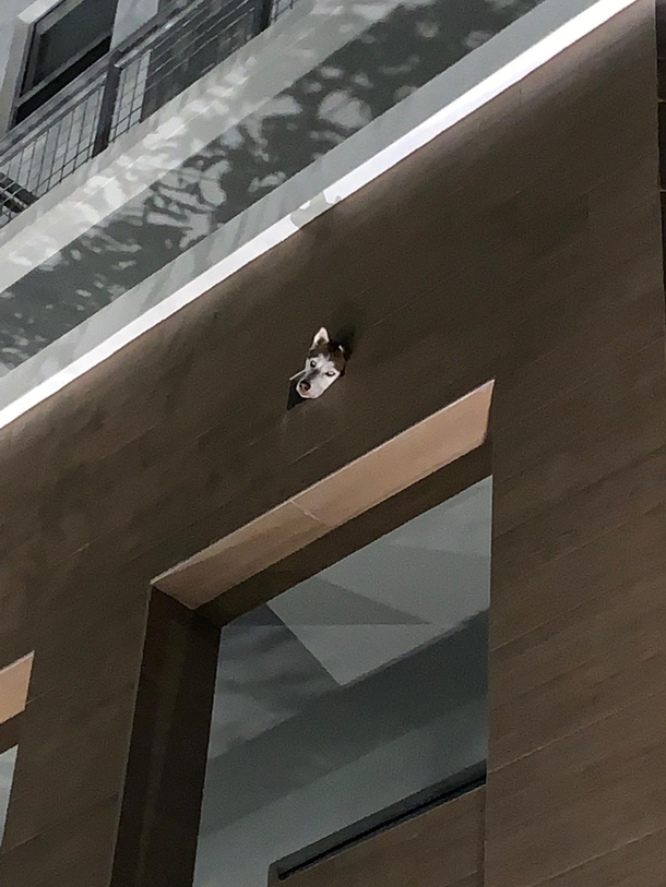 Neighborhood Watch has eyes everywhere