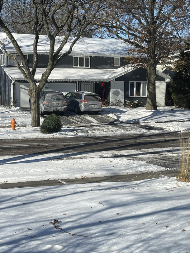 Neighbors couldnt even make it until Lunch on Christmas Day to get their tree out of the house