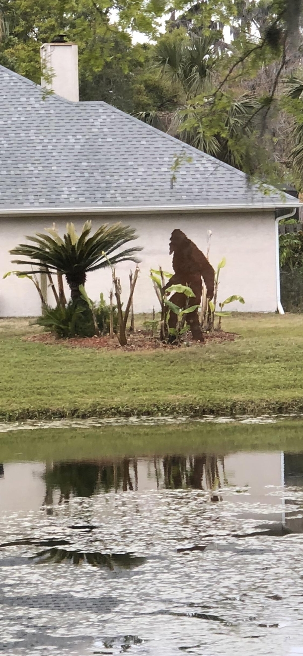 Neighbors new lawn decor is a rare sight