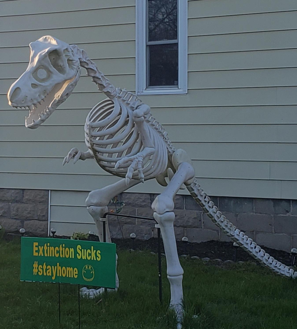 Neighbors repurposed their HalloweenChristmas decorations