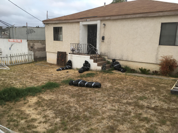 Neighbors Subtle Halloween Decor