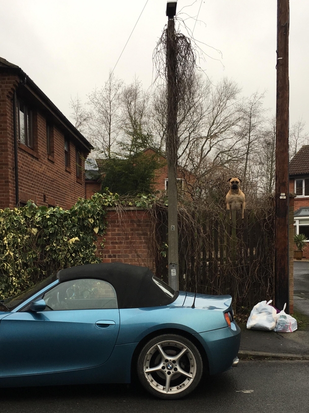 Neighbourhood watch