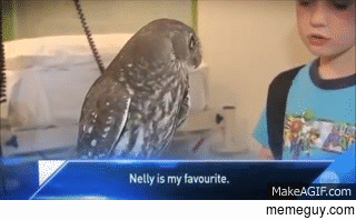 Nelly is my favourite