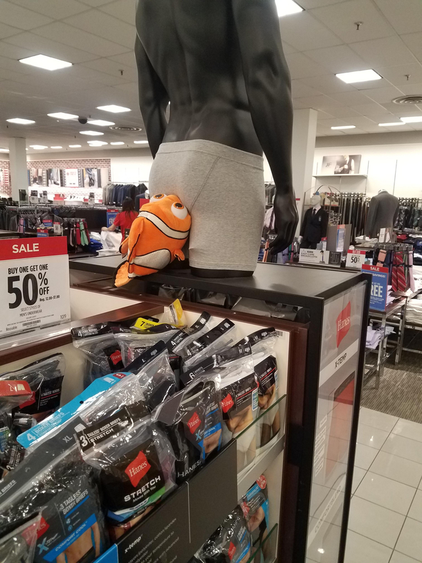 Nemo touched the butt