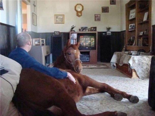 Netflix and chill