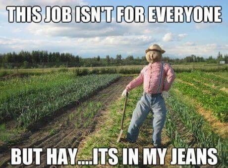 Never fails to make me laugh