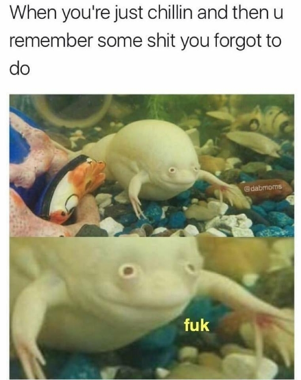 Never felt so connected with a frog