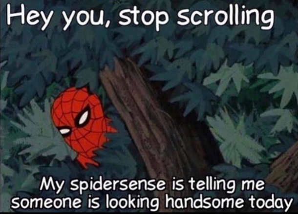 Never gets old D D