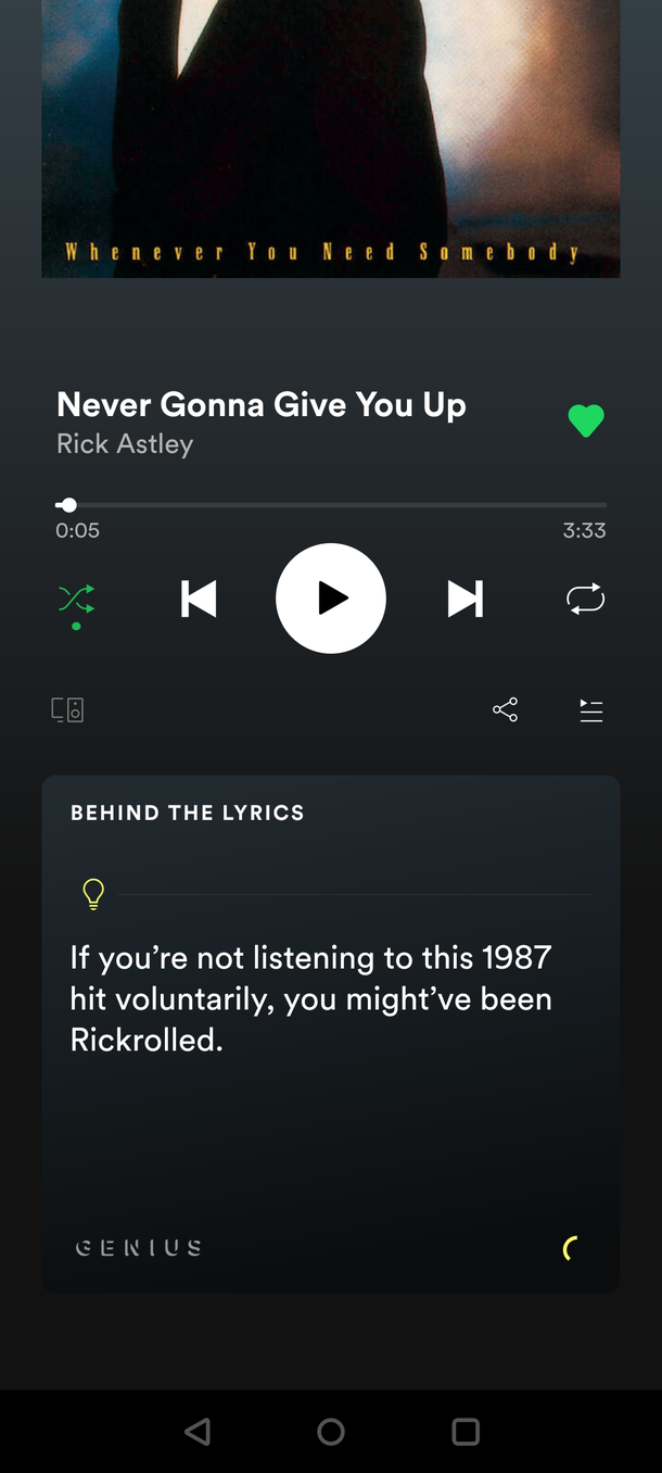 Never gonna give you up