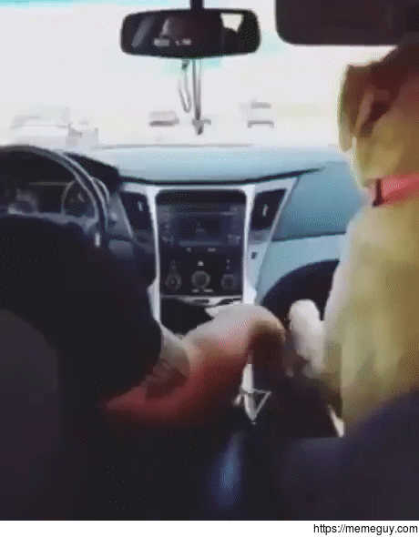 Never let go of my hand