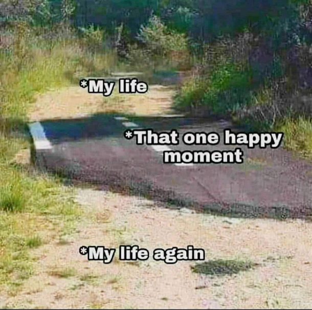 never seen anything more accurate